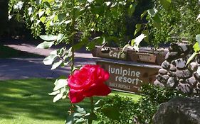 Junipine Resort